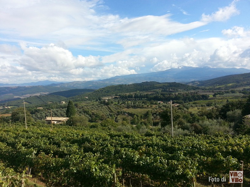 Protetto: Montalcino stage Vinarius